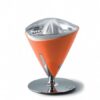 VITA Juicer