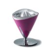 VITA Juicer
